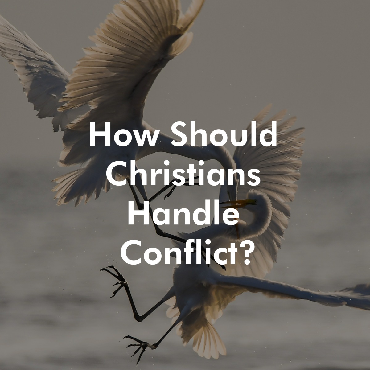 How Should Christians Handle Conflict?